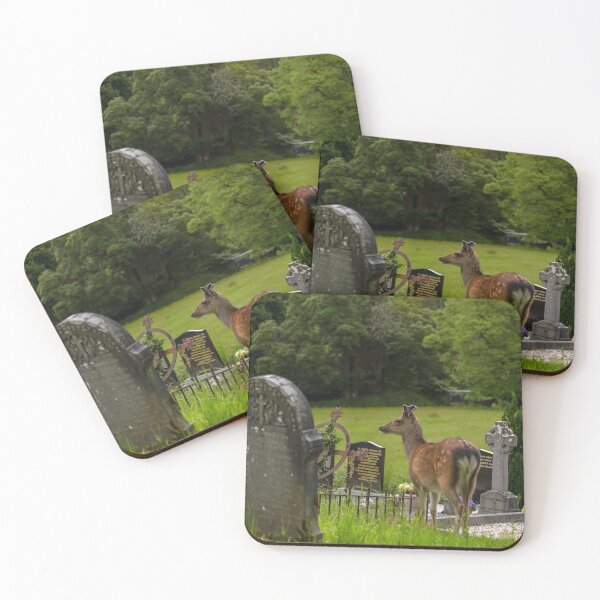 Item preview, Deer in an Irish cemetery of Muckross Abbey, an Old Irish Monastery in Killarney National Park, Ireland designed and sold by AlbertMi.