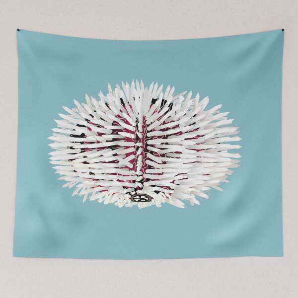 Item preview, White and red sea urchin anatomy mouth teeth claws prickly feet designed and sold by NatureNature.