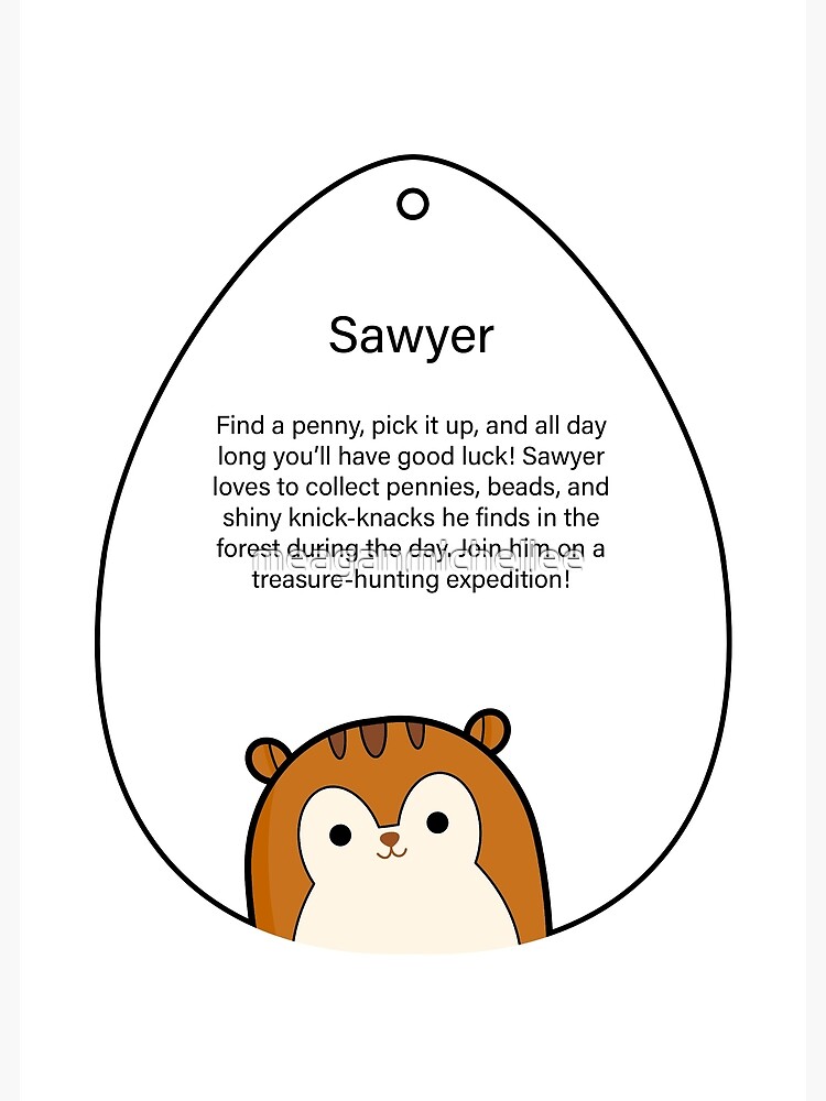 sawyer squirrel squishmallow