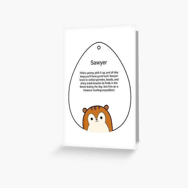 sawyer the squirrel squishmallow