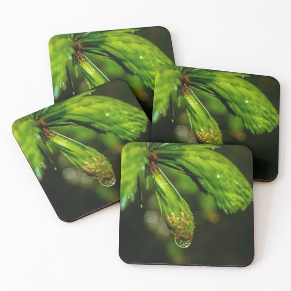 Item preview, Close up shot of reflective water drop on the pine branch in the Irish forest park morning time designed and sold by AlbertMi.