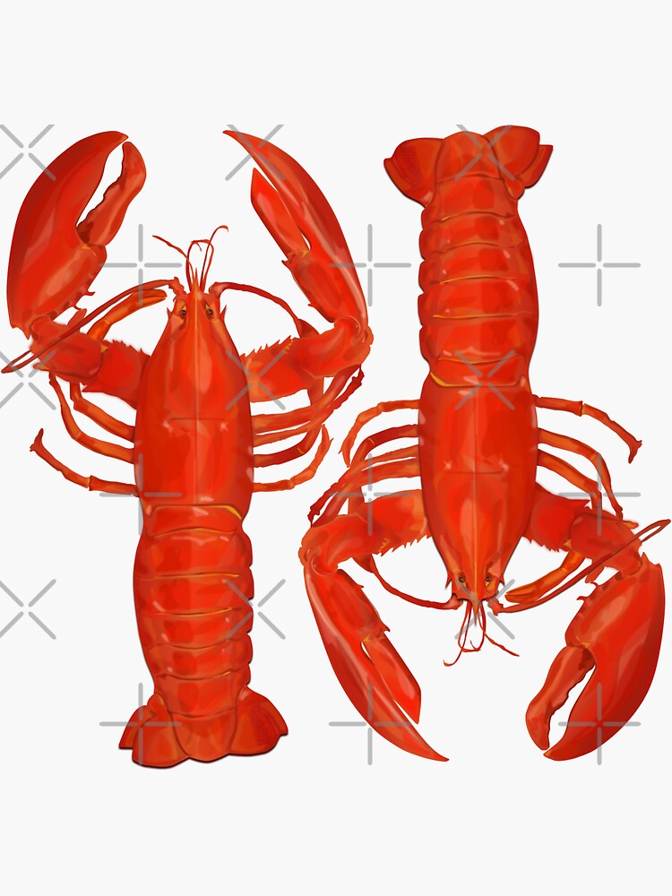 "Lobsters" Sticker for Sale by Krizena Redbubble