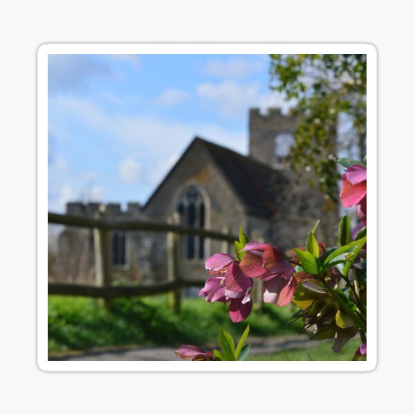 Spring Hellebores at Church Walk Sticker