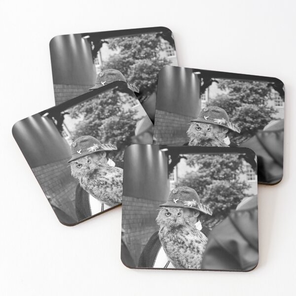 Item preview, Black and White Owl Handler Street Performer designed and sold by AmberCamera.