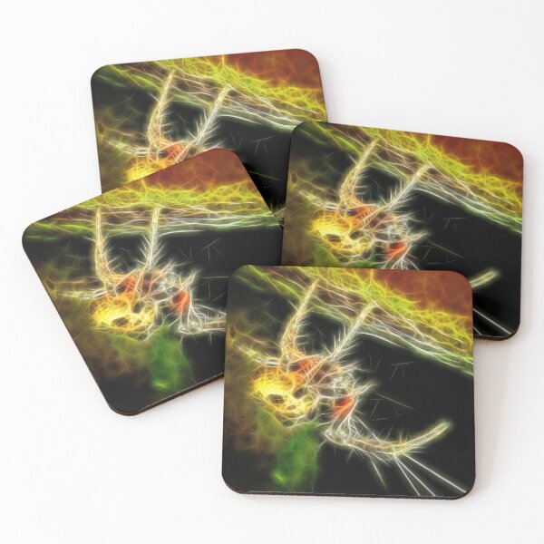 Item preview, orb-weaver spider – araneidae ¦ designed and sold by nature. electrified..