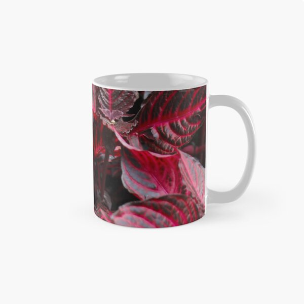 Item preview, Caladium designed and sold by nimeja.