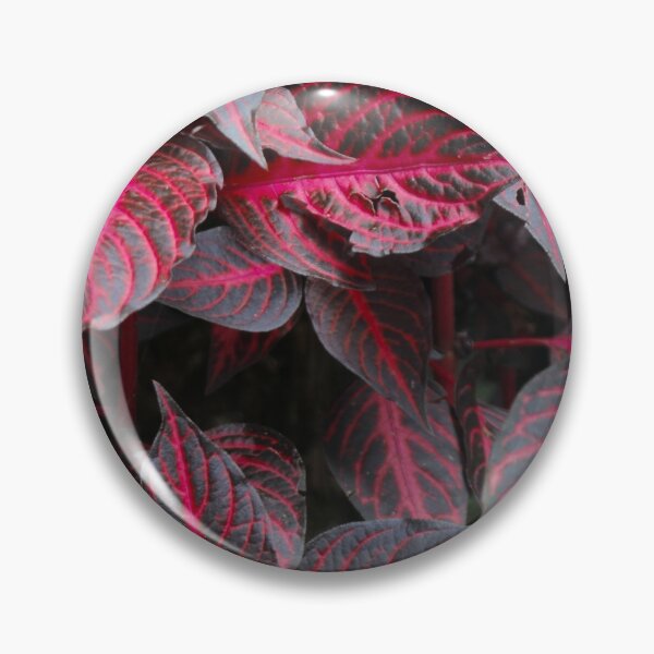 Item preview, Caladium designed and sold by nimeja.