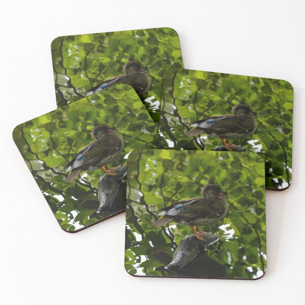 Item preview, Female Mandarin duck by the pond designed and sold by RumRagephotos.