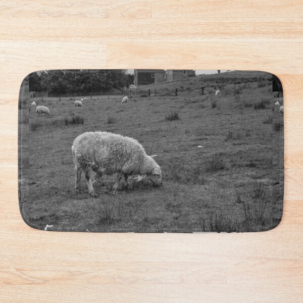 Item preview, Sheep grazing on a farm at the base of Ben Nevis designed and sold by AmberCamera.
