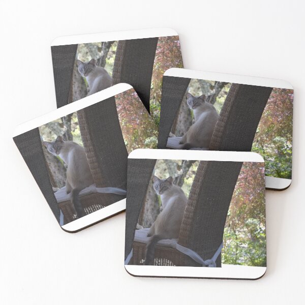 Item preview, Blue Point Siamese cat  designed and sold by RumRagephotos.