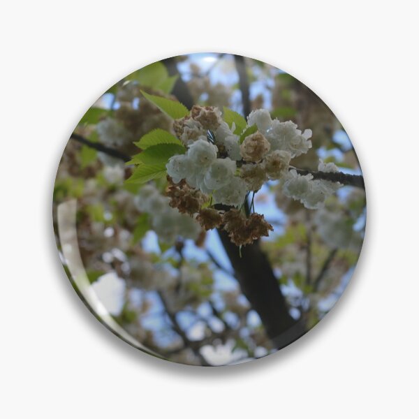 Item preview, White blossoms in Spring designed and sold by RumRagephotos.