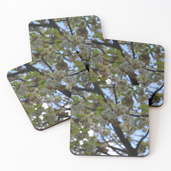 Item preview, White blossoms in Spring designed and sold by RumRagephotos.