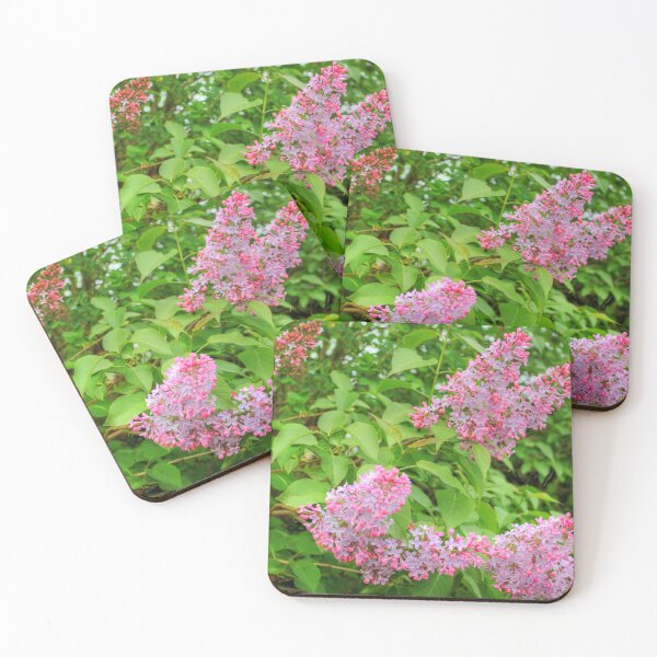 Item preview, Lilac Bush designed and sold by tomg.