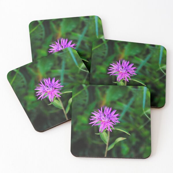 Item preview, Flower of Centaurea nigra designed and sold by Mahirov Shop.