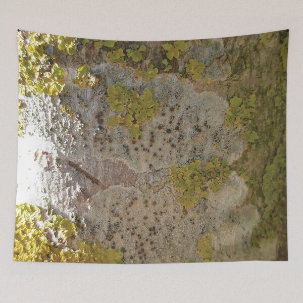 Item preview, Not just a tree trunk designed and sold by CSouissi.