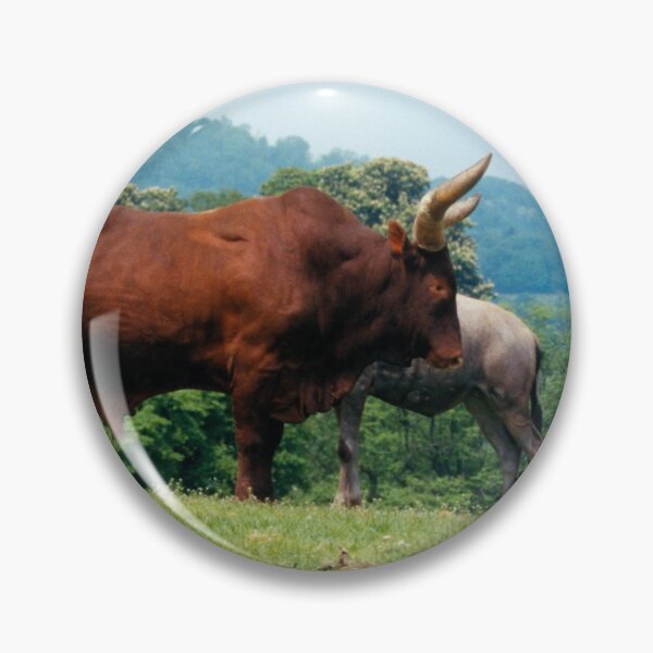 Item preview, Brahma Bull designed and sold by tomg.
