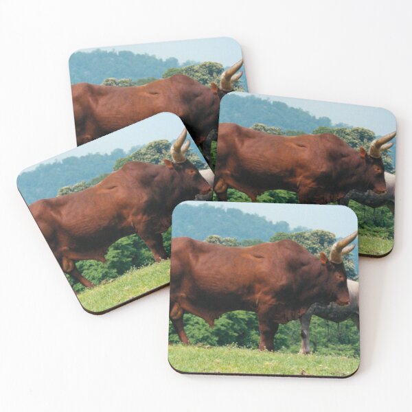 Item preview, Brahma Bull designed and sold by tomg.
