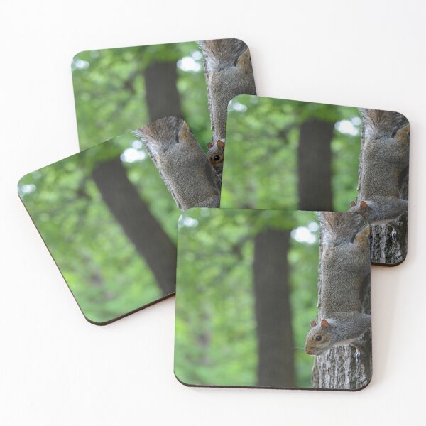 Item preview, Grey Squirrel on a tree designed and sold by RumRagephotos.