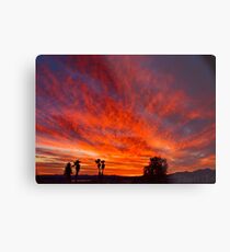 March Sunset Metal Print