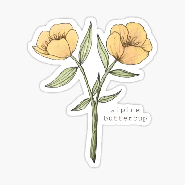 87 Ranunculus Tattoo Flower Ideas  Tattoo Glee