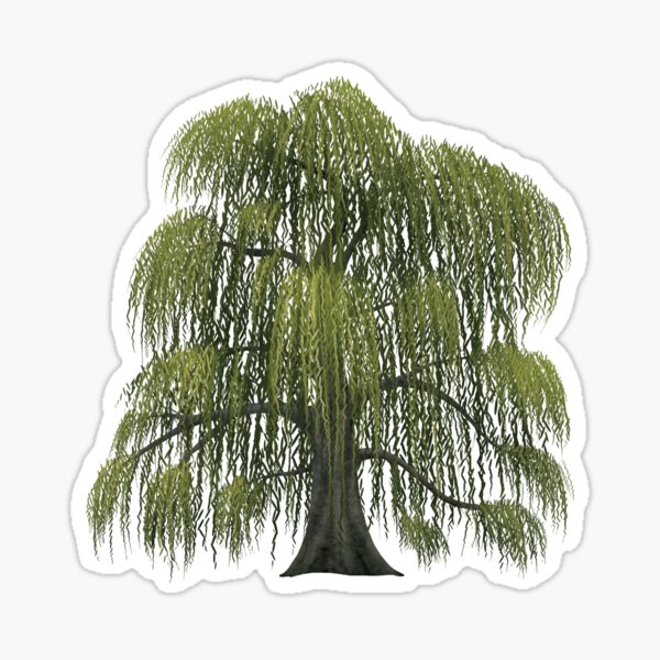 Item preview, Black Willow Tree designed and sold by Inuyasha907.