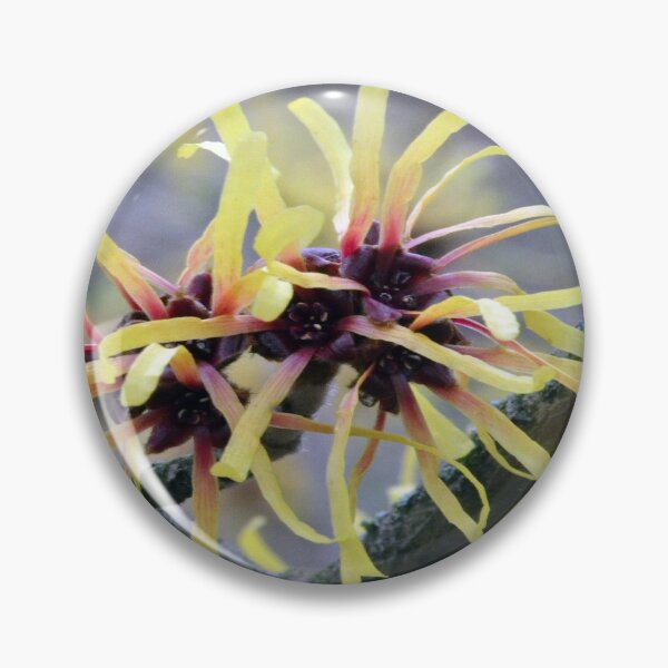 Item preview, Witch Hazel designed and sold by Chris Monks.