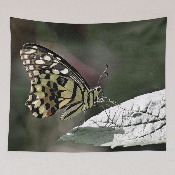 Item preview, Finition  2021 / r2783/ 5 "  La Beauté du Papillon Légendaire "   aout 2017 - (h) Olavia-Olao Okaio Créations  designed and sold by o.okaïo.