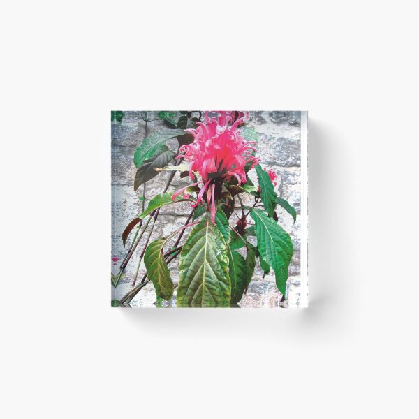 Item preview, Pink Flower designed and sold by Shulie1.