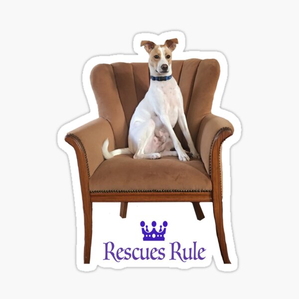 Rescues Rule Sticker