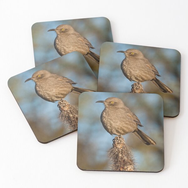 Item preview, Curve-Billed Thrasher on a Cactus designed and sold by Jeff Goulden Photography.