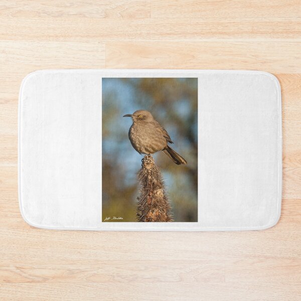 Item preview, Curve-Billed Thrasher on a Cactus designed and sold by Jeff Goulden Photography.