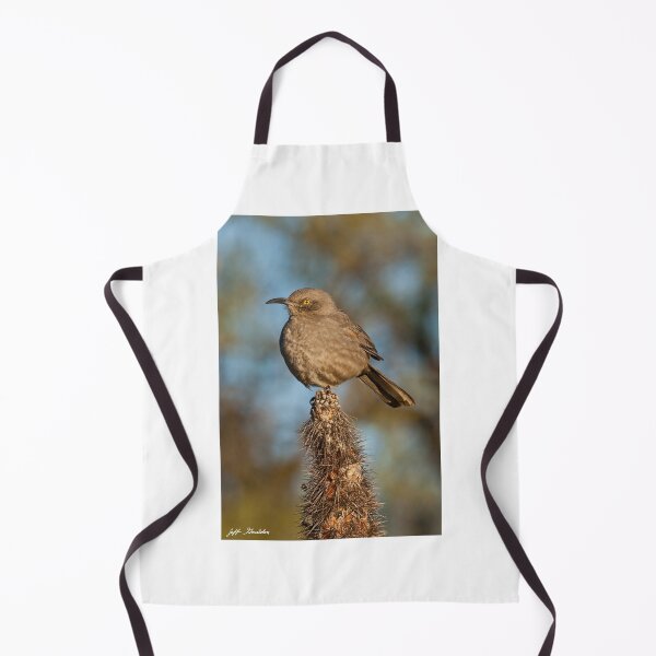 Item preview, Curve-Billed Thrasher on a Cactus designed and sold by Jeff Goulden Photography.