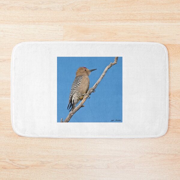 Item preview, Male Gila Woodpecker designed and sold by Jeff Goulden Photography.
