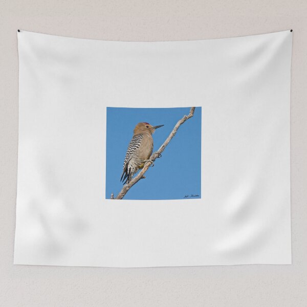 Item preview, Male Gila Woodpecker designed and sold by Jeff Goulden Photography.