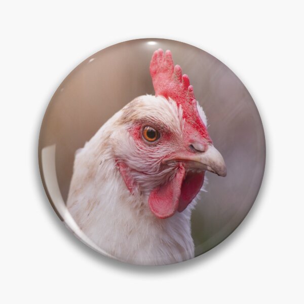 Item preview, Portrait of a Chicken Face designed and sold by Tony-Bedford.