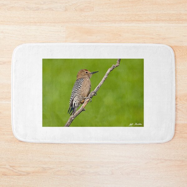 Item preview, Male Gila Woodpecker designed and sold by Jeff Goulden Photography.