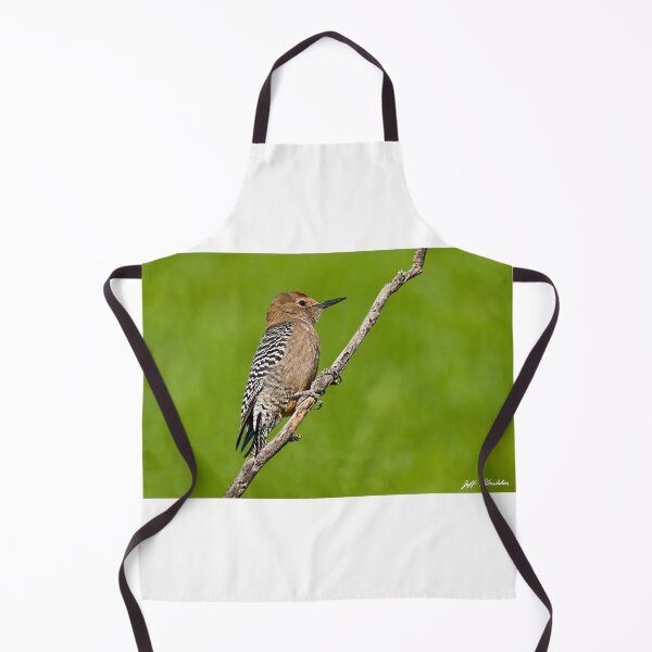 Item preview, Male Gila Woodpecker designed and sold by Jeff Goulden Photography.