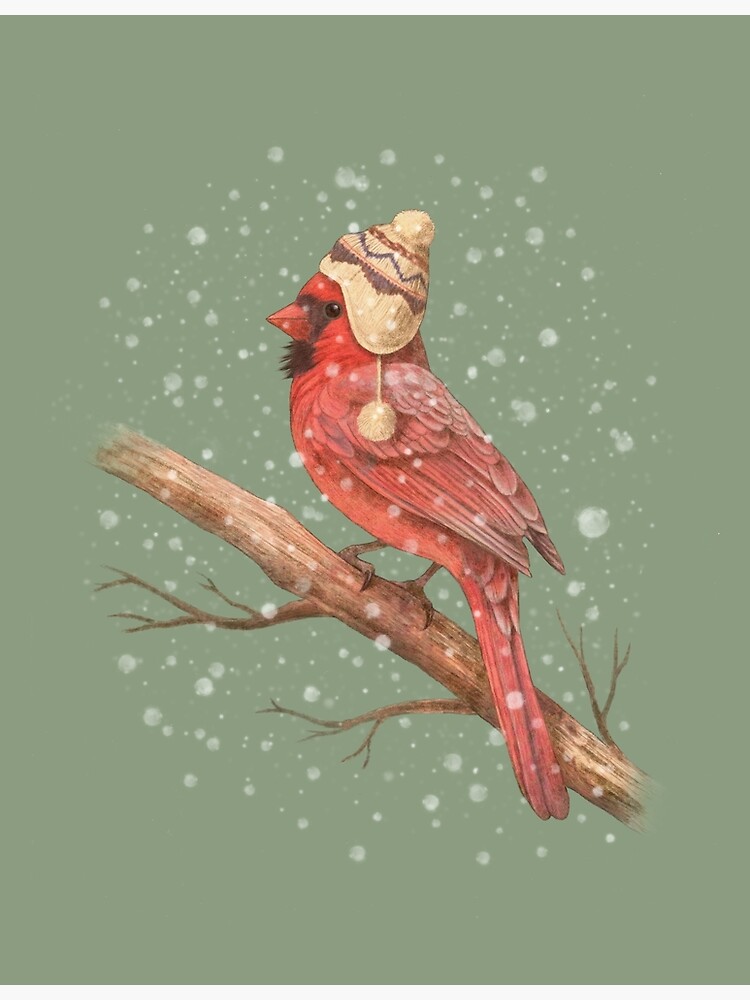First Snow by TerryFan