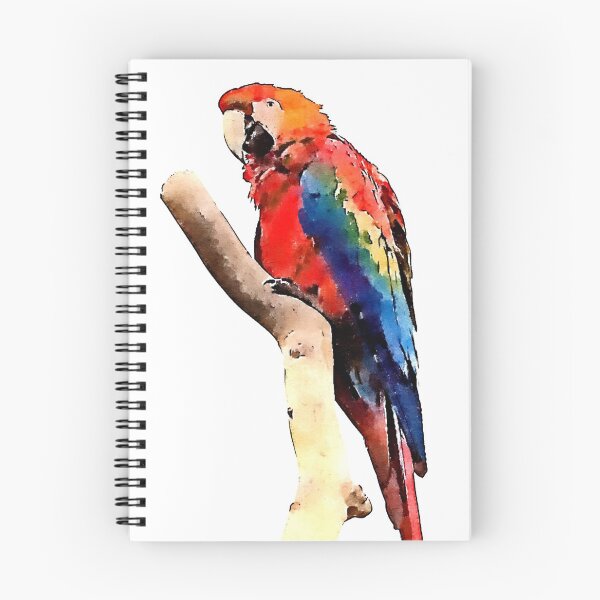 Item preview, El loro colorido designed and sold by snapsquad.