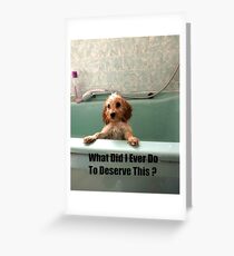 Cockapoo in the Bath Greeting Card