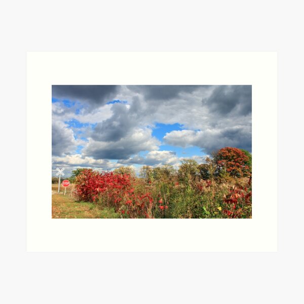A Moment In Time Art Print