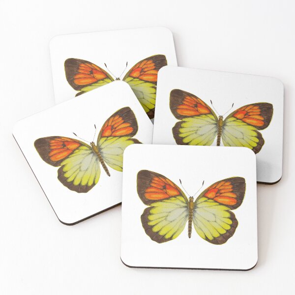 Item preview, Orange Tip butterfly  designed and sold by ColorSplendor.