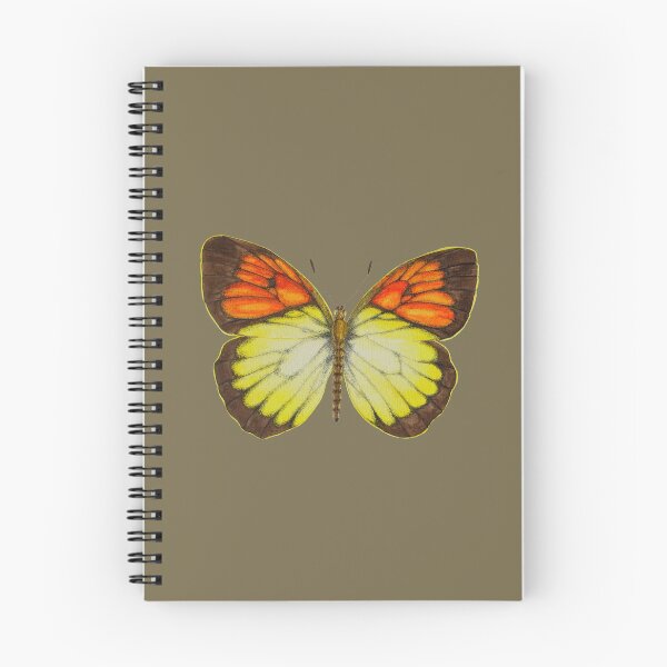 Item preview, Orange Tip butterfly  designed and sold by ColorSplendor.