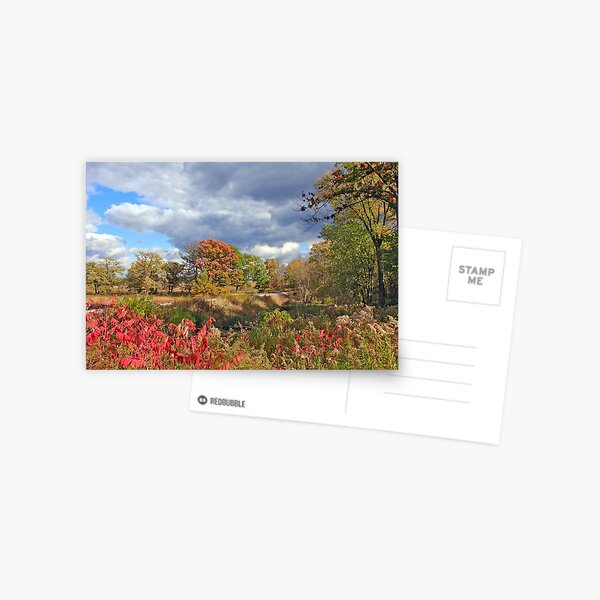 Fall Sinfonia Postcard
