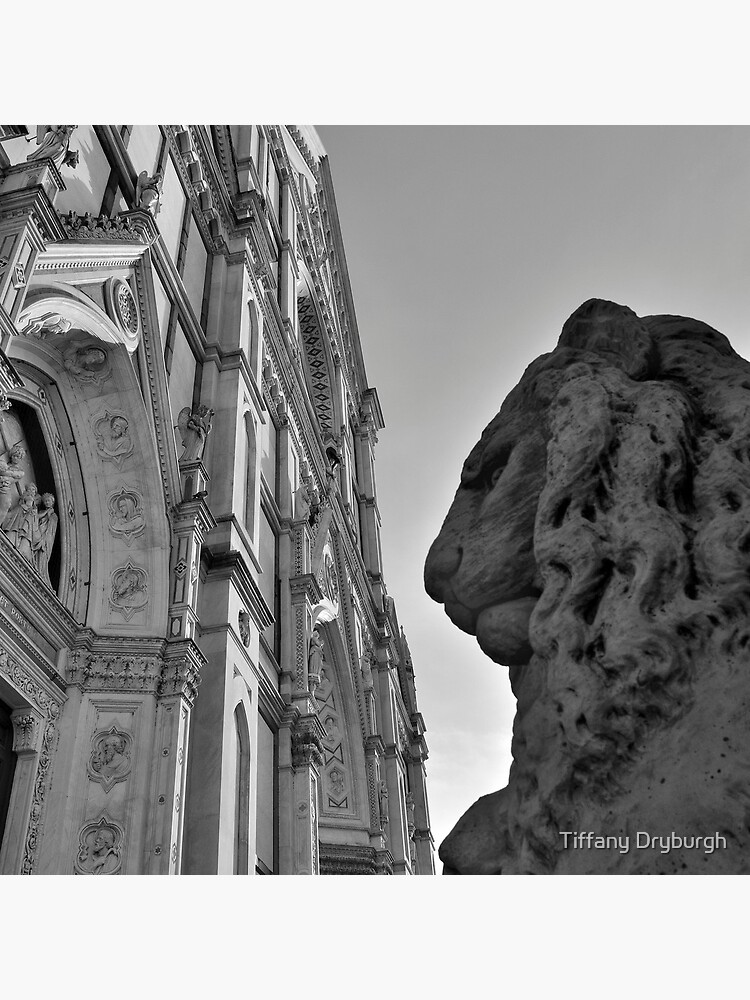Guarding Santa Croce by Tiffany