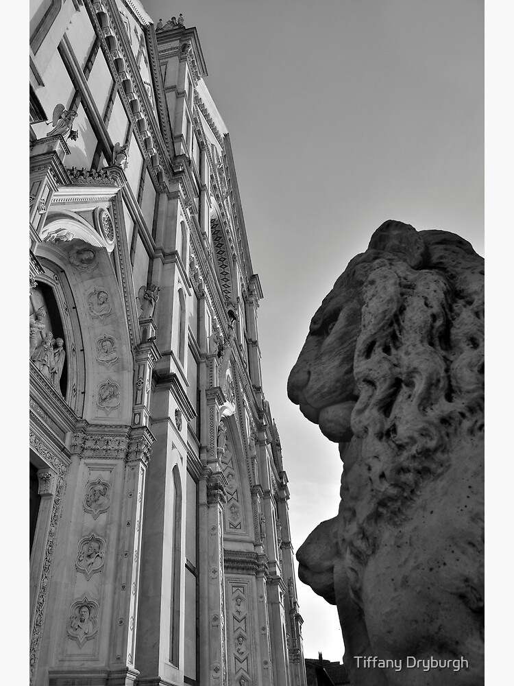 Guarding Santa Croce by Tiffany