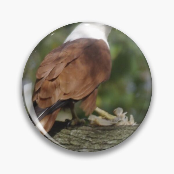 Item preview, Sea eagle2 designed and sold by ronlan.