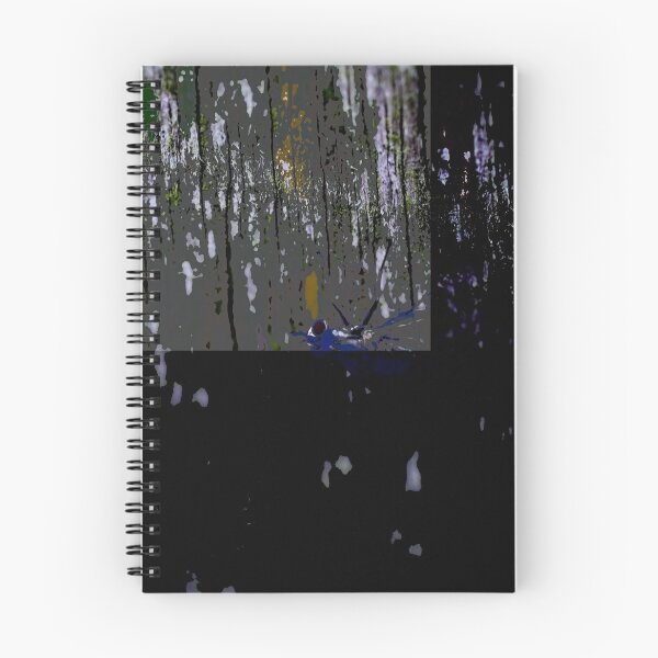 Item preview, Photo effect designed and sold by Jodie Cooper.