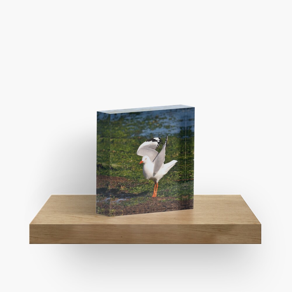 Item preview, Acrylic Block designed and sold by Tiffany.