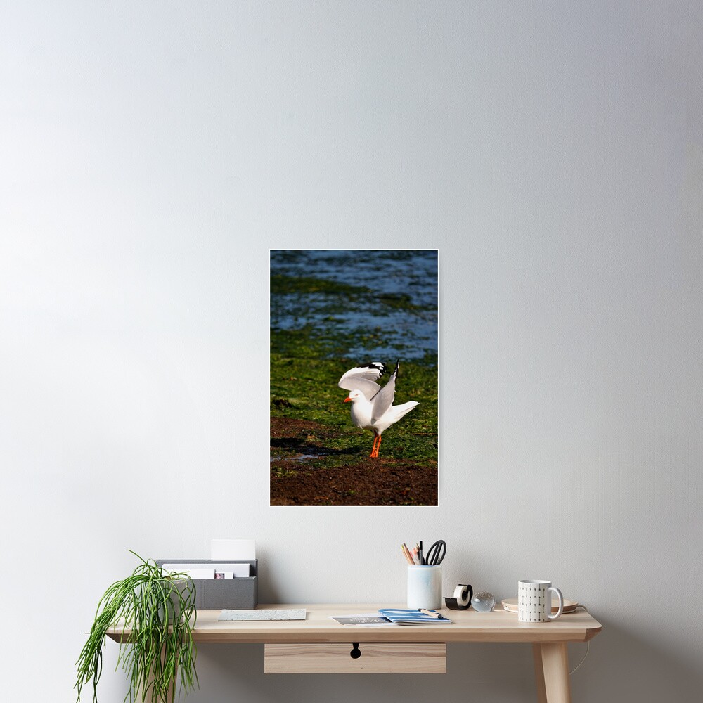 Item preview, Poster designed and sold by Tiffany.